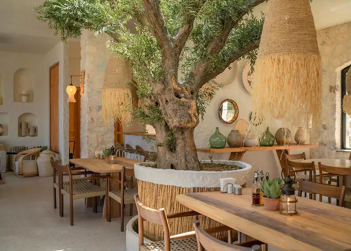 Alya Butik * Turunç